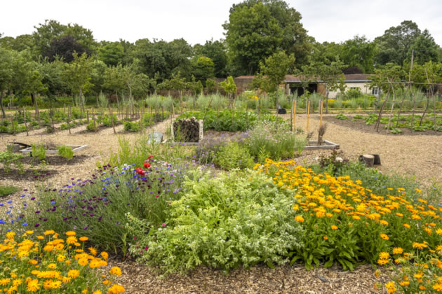 the walled Kitchen Garden at Chiswick House is home to a rich array of flowers, fruit and vegetables